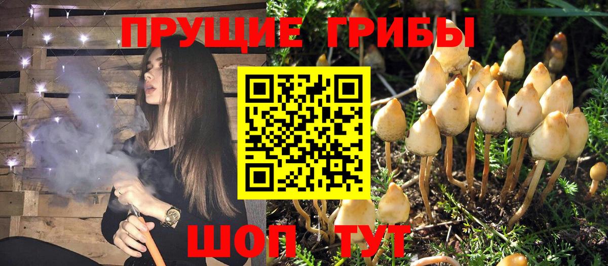 Псилоцибиновые грибы прущие грибы  Вход с VPN  Ханты-Мансийск 
